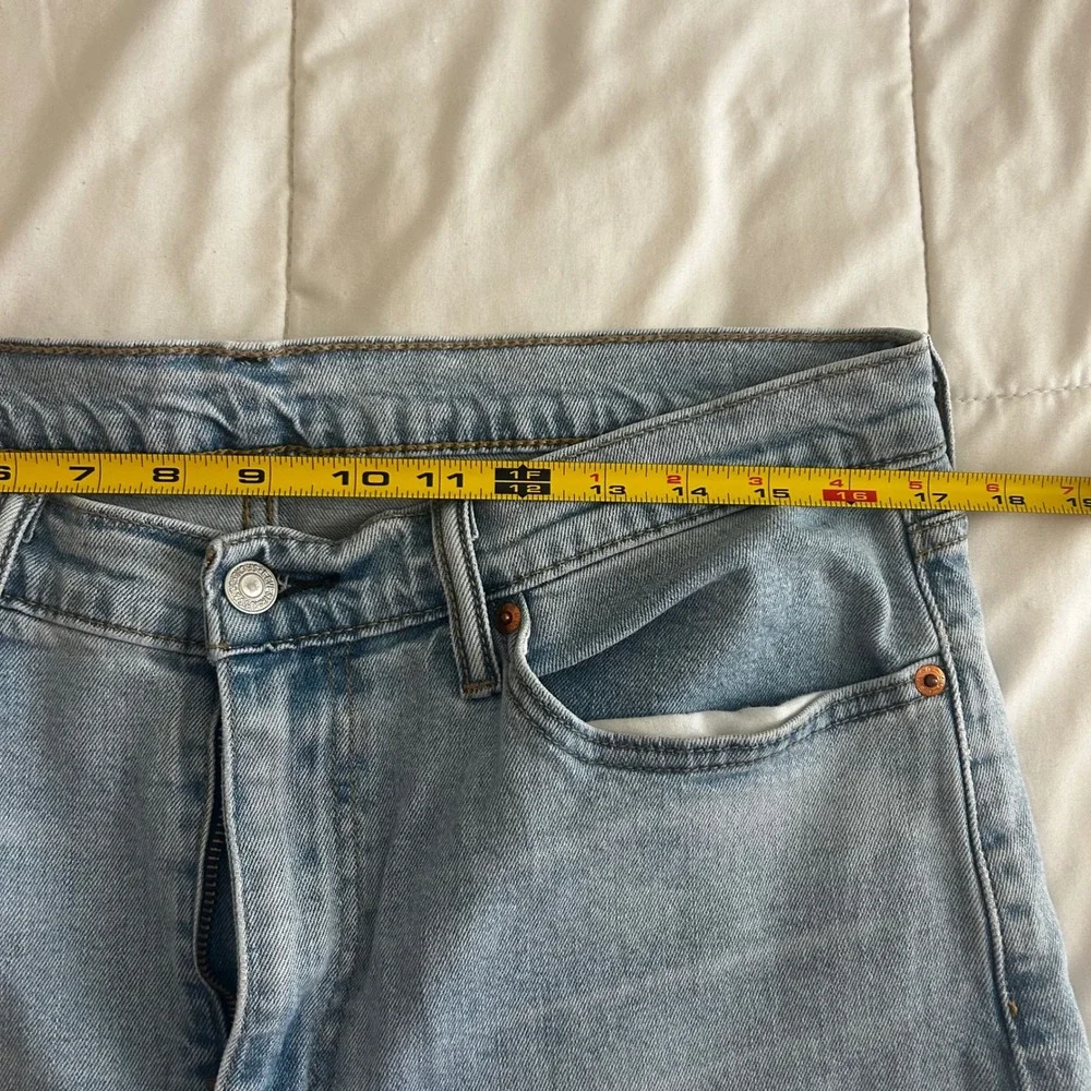 Levis levi strauss